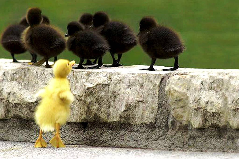 O conceito maçónico de “Grande Arquiteto Do Universo” – II